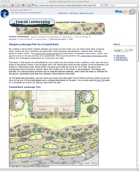 Sample Landscape Plan for a Coastal Bank-1.jpg